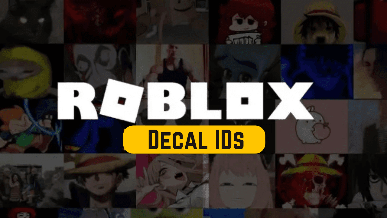 Best Decal IDs in Roblox