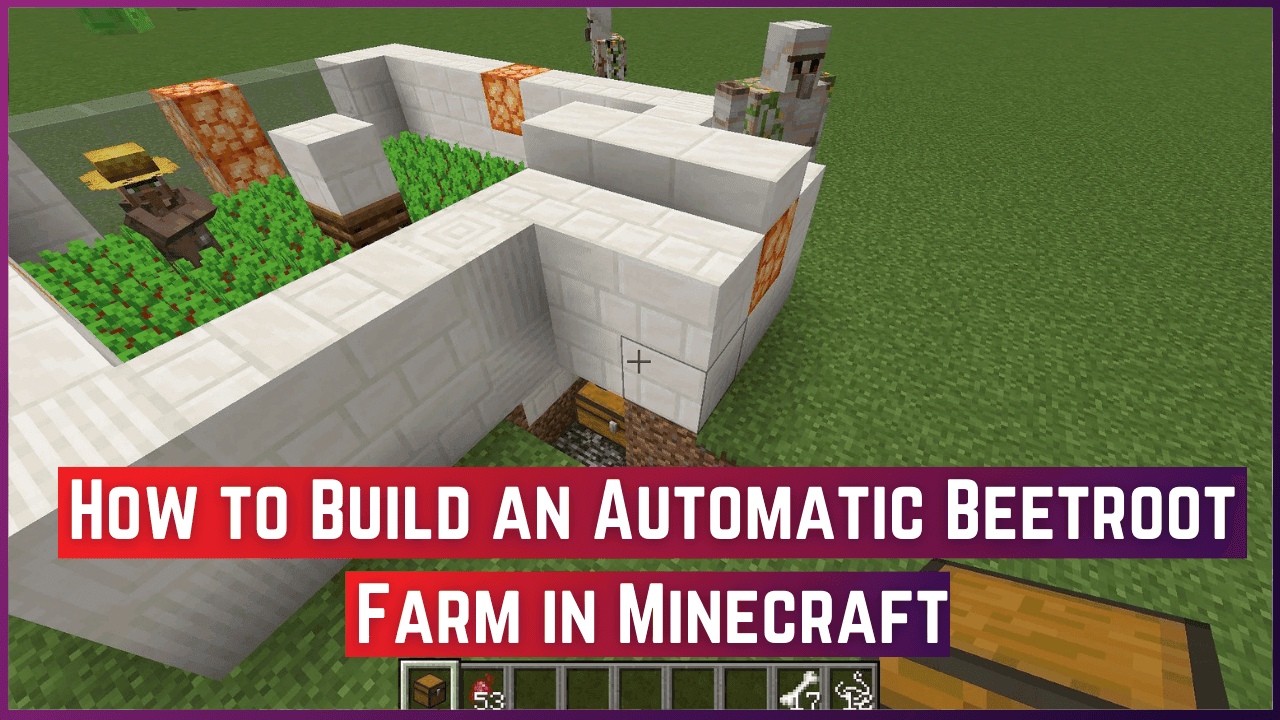 How to Build an Automatic Beetroot Farm in Minecraft